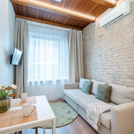 Apartment Warm In The Heart Of Vilnius