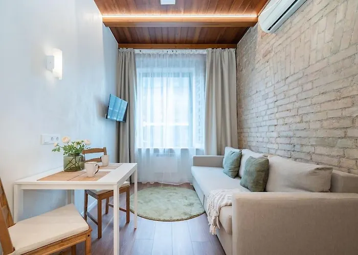 Apartment Warm In The Heart Of Vilnius